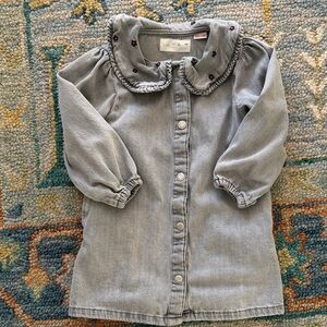 Gray Denim Button-Up Dress with Embroidered Collar